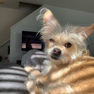 Meet your Posher, Jess